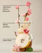 لوسیون بدن بث اند بادی ورکس رایحه Japanese Cherry Blossom - Image 4